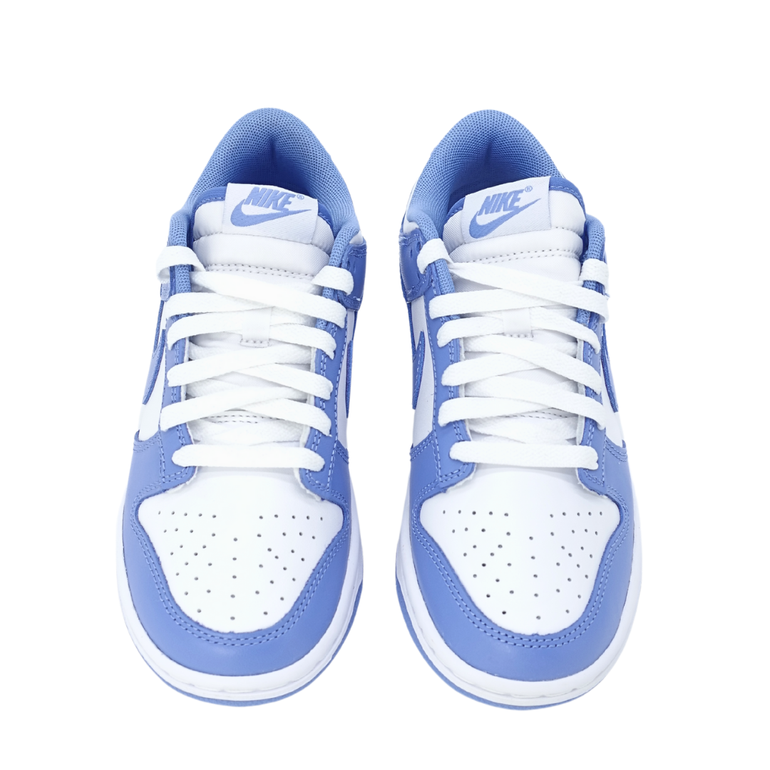 Nike Dunk Low Polar Blue