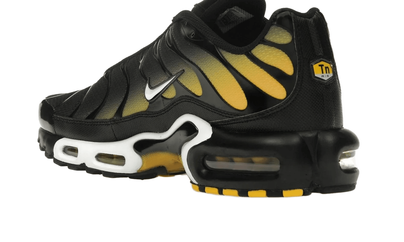 Nike Air Max Plus Black University Gold White - DM0032-013